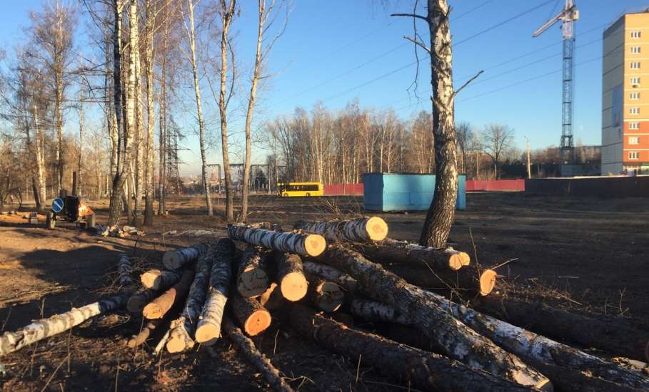 По факту вырубки деревьев в парке Сорокалетия Октября возбуждено уголовное дело