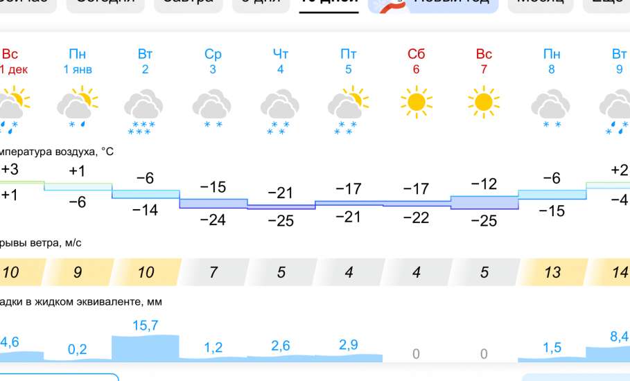 Прогноз погоды в Ельце на 10 дней 2024. Морозы до -25!