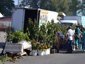 IX Межрегиональный событийный туристский фестиваль «Антоновские яблоки» встречает гостей