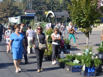 IX Межрегиональный событийный туристский фестиваль «Антоновские яблоки» встречает гостей