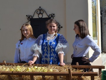 IX Межрегиональный событийный туристский фестиваль «Антоновские яблоки» встречает гостей