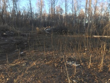 В городе Ельце происходит уничтожение парка 40-летия Октября!