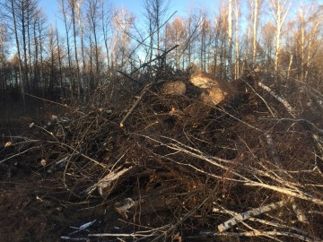 В городе Ельце происходит уничтожение парка 40-летия Октября!