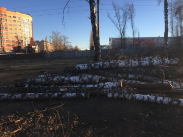 В городе Ельце происходит уничтожение парка 40-летия Октября!