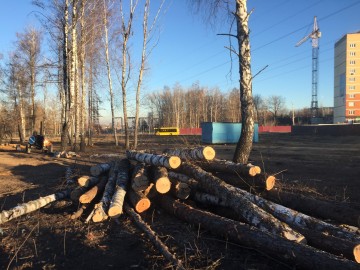 В городе Ельце происходит уничтожение парка 40-летия Октября!