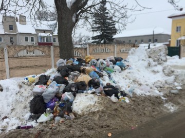 Компания «Тэко-сервис» не справилась со своими обязанностями в зоне «Елецкая», Липецкой области,  как региональный оператор по сбору и утилизации мусора