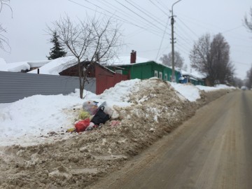 Компания «Тэко-сервис» не справилась со своими обязанностями в зоне «Елецкая», Липецкой области,  как региональный оператор по сбору и утилизации мусора