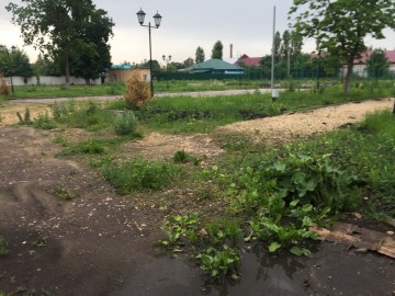 Сквер Харченко, парк 40-летия Октября, парк Железнодорожников и сквер в микрорайоне Александровском - темы для расследования органов прокуратуры