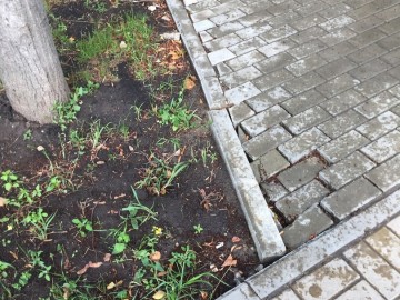 Сквер Харченко, парк 40-летия Октября, парк Железнодорожников и сквер в микрорайоне Александровском - темы для расследования органов прокуратуры