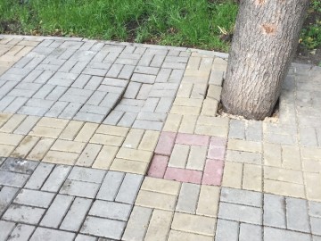 Сквер Харченко, парк 40-летия Октября, парк Железнодорожников и сквер в микрорайоне Александровском - темы для расследования органов прокуратуры