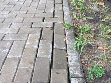 Сквер Харченко, парк 40-летия Октября, парк Железнодорожников и сквер в микрорайоне Александровском - темы для расследования органов прокуратуры