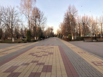 Особенности деятельности Городского парка города Ельца Особенности деятельности Городского парка города Ельца