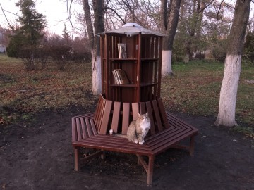 Особенности деятельности Городского парка города Ельца Особенности деятельности Городского парка города Ельца