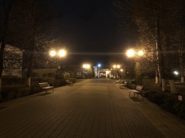 Особенности деятельности Городского парка города Ельца Особенности деятельности Городского парка города Ельца