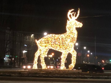 Елец украсили к Новому году! Елец украсили к Новому году!