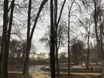 В Петровском парке вовсю кипит работа по благоустройству! В Петровском парке вовсю кипит работа по благоустройству!