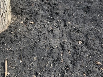 Пожилой человек в инвалидном кресле не смог попасть в Петровский парк города Ельца!