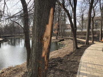 Пожилой человек в инвалидном кресле не смог попасть в Петровский парк города Ельца!