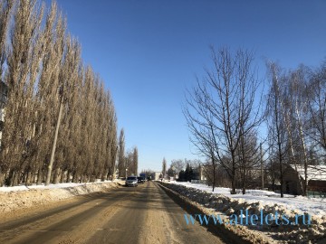 Мэр Ельца не сделал никаких выводов! Мэр Ельца не сделал никаких выводов!