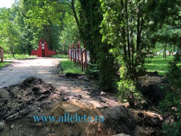 Какой ужас сейчас творится в сквере Комсомольцев в Ельце!