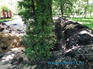Какой ужас сейчас творится в сквере Комсомольцев в Ельце!