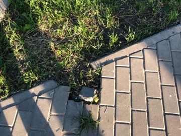 Сквер Харченко в Ельце превратился в опасный объект благоустройства