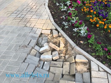 Сквер Харченко в Ельце превратился в опасный объект благоустройства