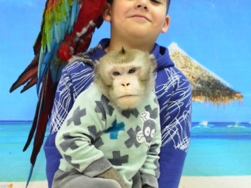 Елец, встречай! Дом экзотических животных "ДЖУМАНДЖИ"