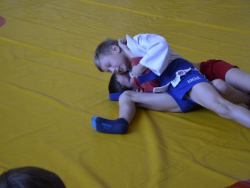 5 мая в Ельце прошёл областной семинар «Методика подготовки обучающихся самбо»