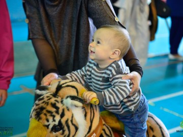 В Ельце прошел 5-й юбилейный спортивный семейный праздник «Забег ползунков»