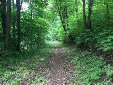 Я люблю свой город Елец!