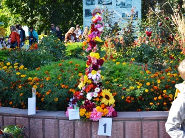 Фото с фестиваля "Антоновские яблоки" в Ельце