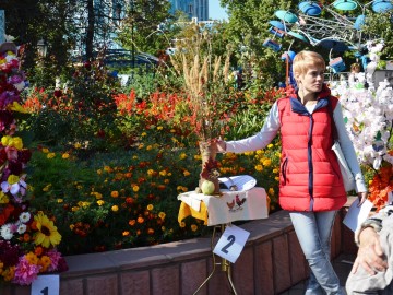 Фото с фестиваля "Антоновские яблоки" в Ельце