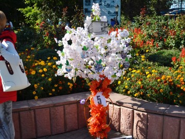 Фото с фестиваля "Антоновские яблоки" в Ельце