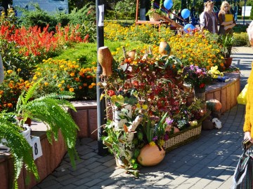 Фото с фестиваля "Антоновские яблоки" в Ельце