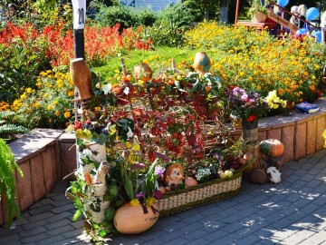 Фото с фестиваля "Антоновские яблоки" в Ельце