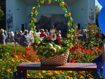 Фото с фестиваля "Антоновские яблоки" в Ельце