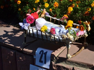 Фото с фестиваля "Антоновские яблоки" в Ельце