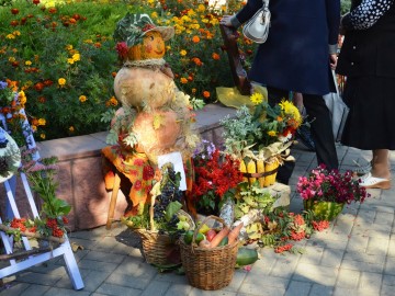 Фото с фестиваля "Антоновские яблоки" в Ельце