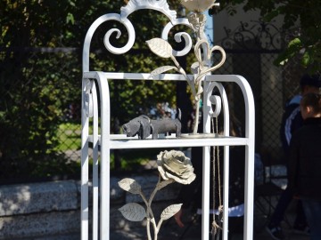 Фото с фестиваля "Антоновские яблоки" в Ельце