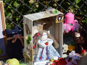 Фото с фестиваля "Антоновские яблоки" в Ельце