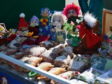 Фото с фестиваля "Антоновские яблоки" в Ельце