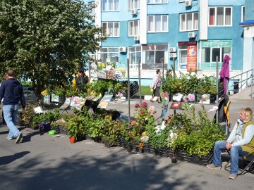 Фото с фестиваля "Антоновские яблоки" в Ельце