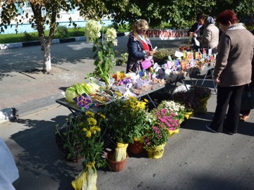 Фото с фестиваля "Антоновские яблоки" в Ельце