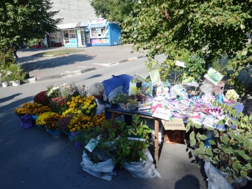 Фото с фестиваля "Антоновские яблоки" в Ельце