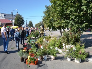 Фото с фестиваля "Антоновские яблоки" в Ельце