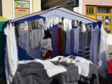 Фото с фестиваля "Антоновские яблоки" в Ельце