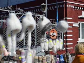 Фото с фестиваля "Антоновские яблоки" в Ельце