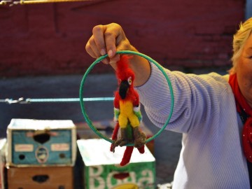 Фото с фестиваля "Антоновские яблоки" в Ельце