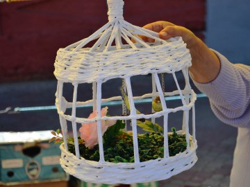 Фото с фестиваля "Антоновские яблоки" в Ельце